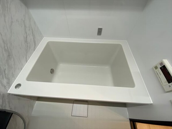 リバーシティ21イーストタワーズ10号棟の物件内観写真